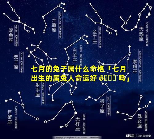 七月的兔子属什么命格「七月出生的属兔人命运好 🐋 吗」
